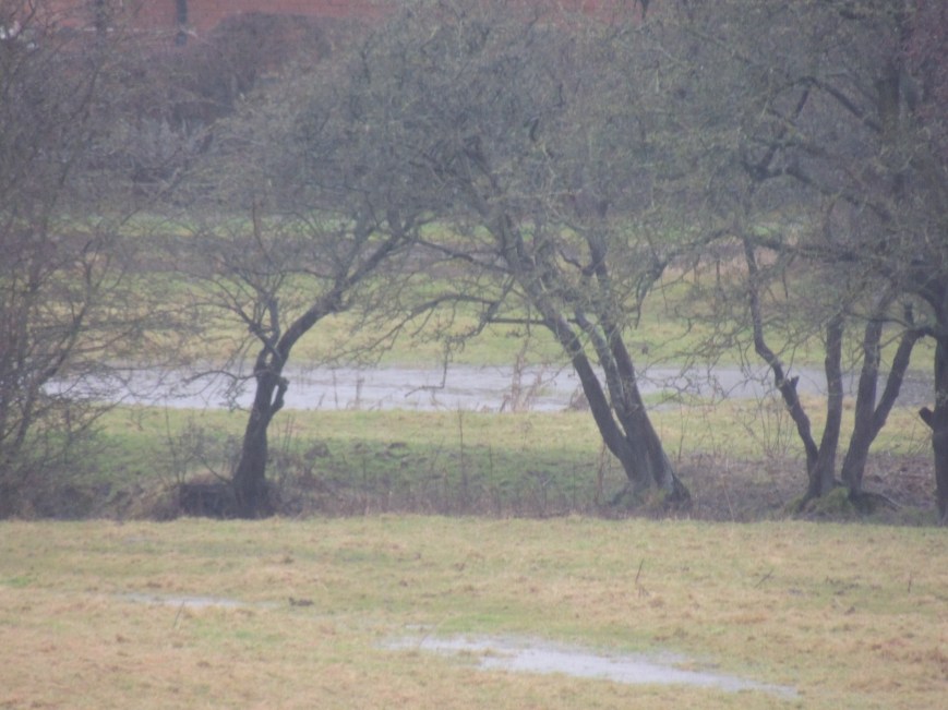 14_02_2015 Fields in Flood (1)