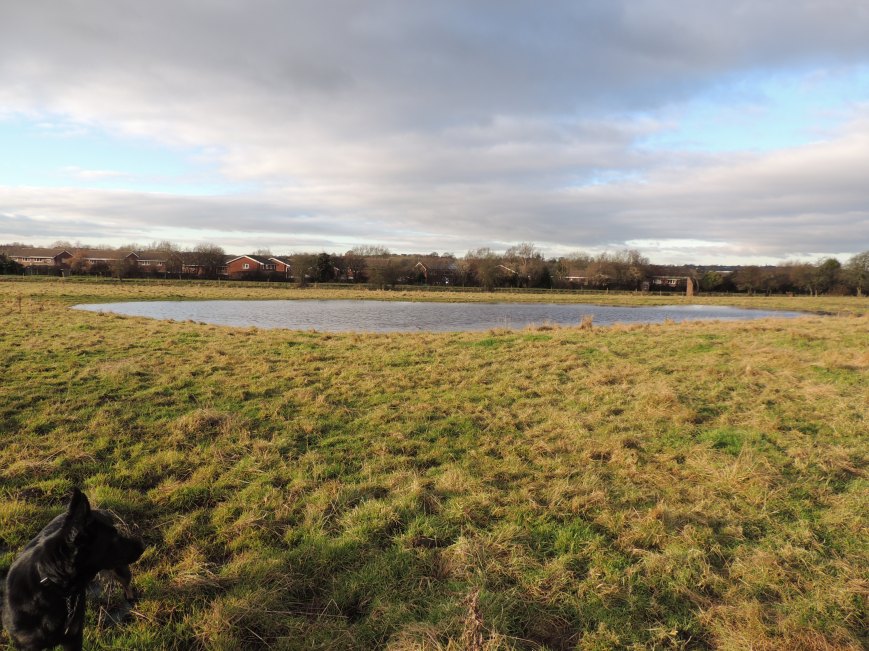 14_02_2015 Fields in Flood 2012  (2)