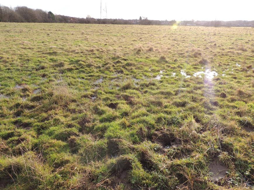 14_02_2015 Fields in Flood 2012 (4)