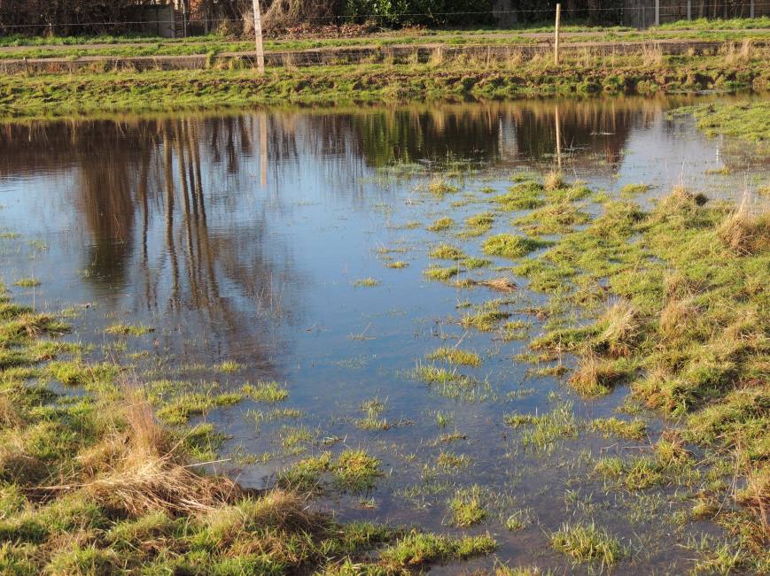 14_02_2015 Fields in Flood 2012 JPG