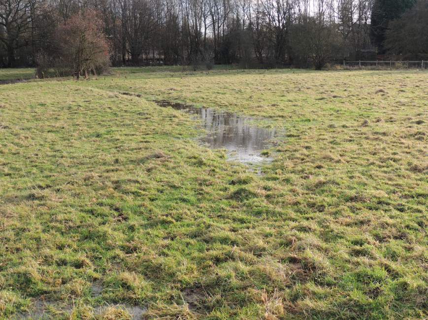 14_02_2015 Fields in Flood 2012
